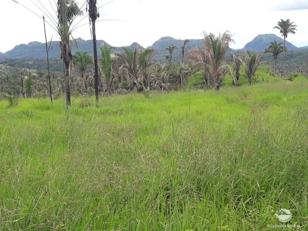 Fazenda à venda de 5.624 ha em Recursolândia, TO, Brasil