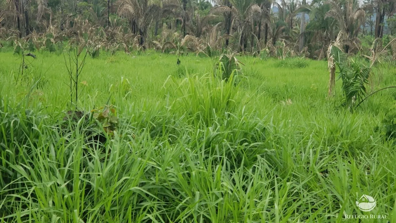 Fazenda à venda de 5.624 ha em Recursolândia, TO, Brasil