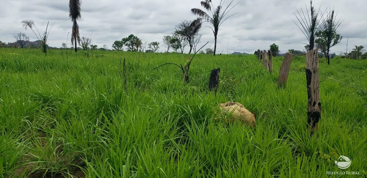 Fazenda à venda de 5.624 ha em Recursolândia, TO, Brasil