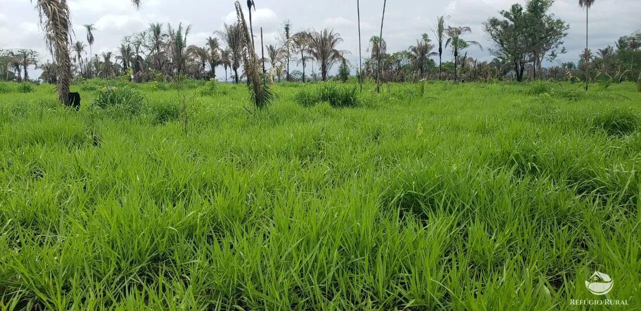 Fazenda à venda de 5.624 ha em Recursolândia, TO, Brasil