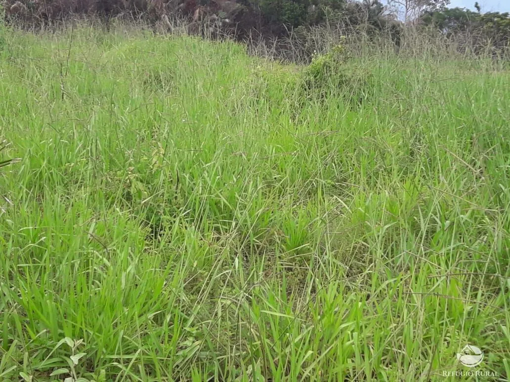Fazenda à venda de 5.624 ha em Recursolândia, TO, Brasil