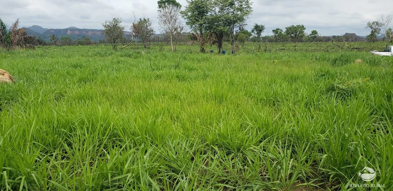 Fazenda à venda de 5.624 ha em Recursolândia, TO, Brasil