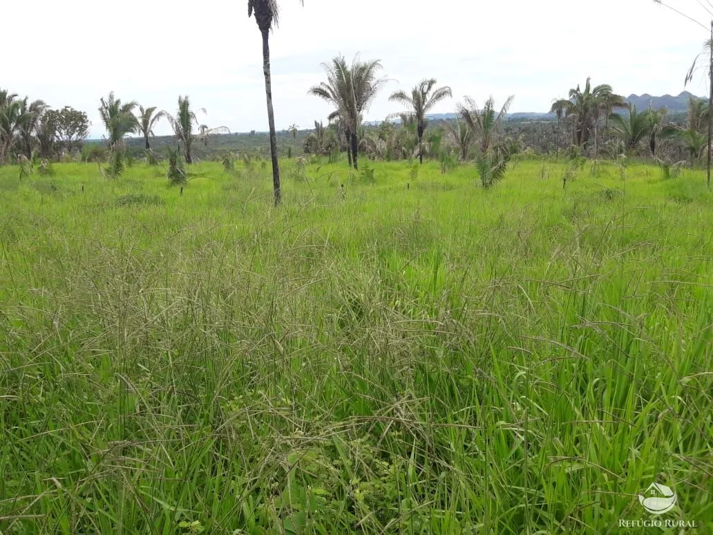 Fazenda à venda de 5.624 ha em Recursolândia, TO, Brasil