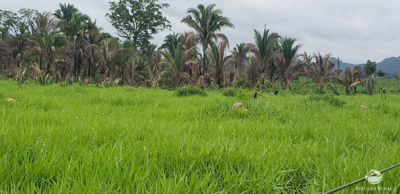 Fazenda à venda de 5.624 ha em Recursolândia, TO, Brasil