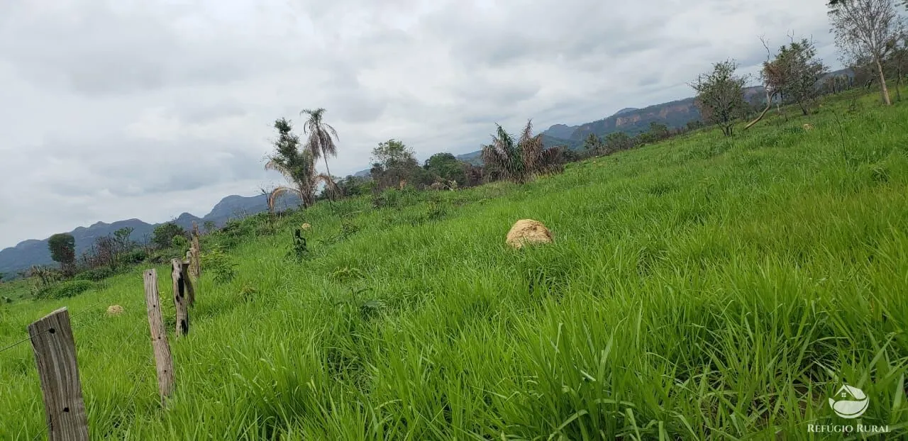 Fazenda à venda de 5.624 ha em Recursolândia, TO, Brasil