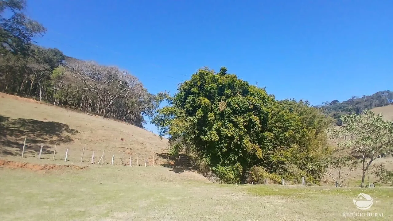 Sítio à venda de 111 ha em Santo Antônio do Pinhal, SP, Brasil