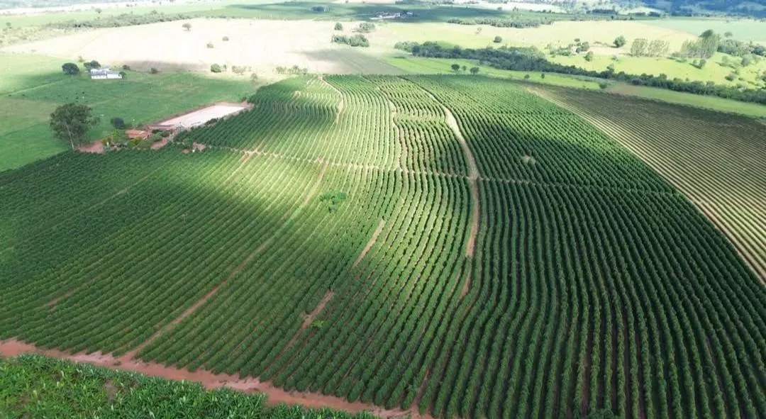 Fazenda à venda de 19 ha em Araguari, MG, Brasil