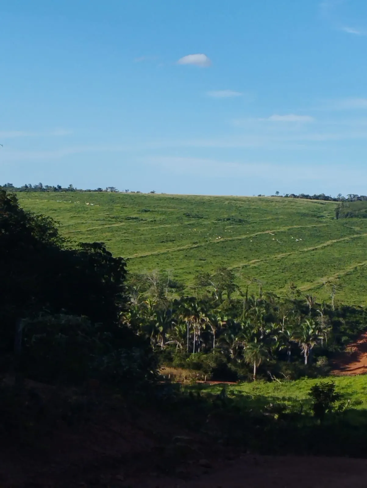 Fazenda à venda e para Arrendar de 1.046 ha em Fernando Falcão, MA, Brasil