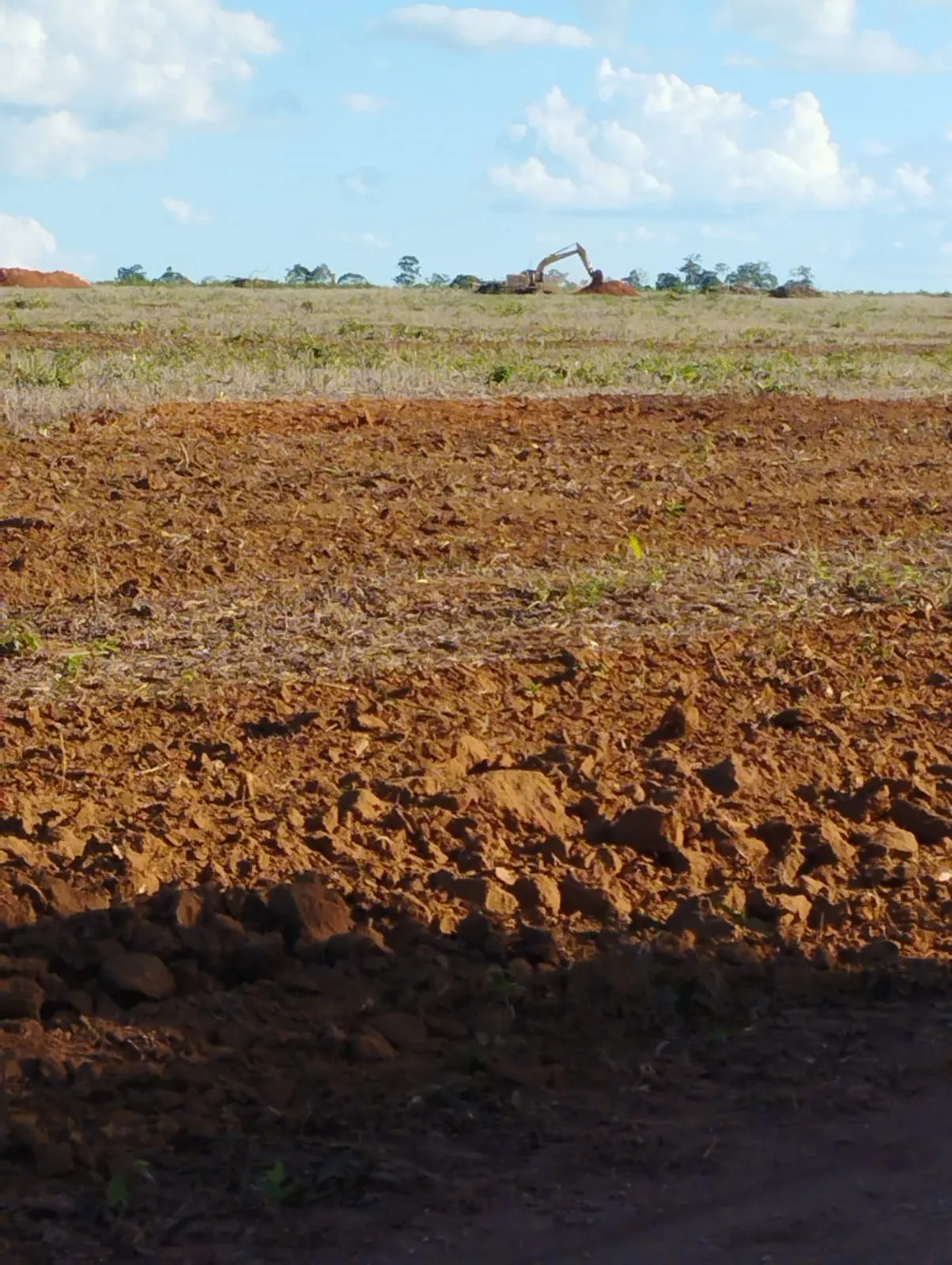 Fazenda à venda e para Arrendar de 1.046 ha em Fernando Falcão, MA, Brasil