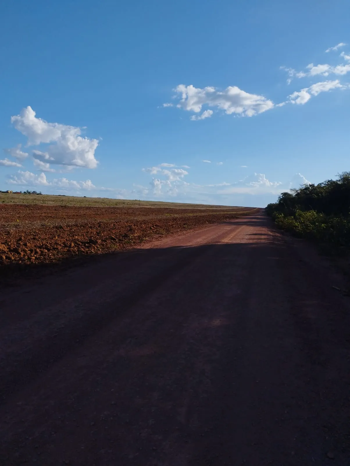 Fazenda à venda e para Arrendar de 1.046 ha em Fernando Falcão, MA, Brasil