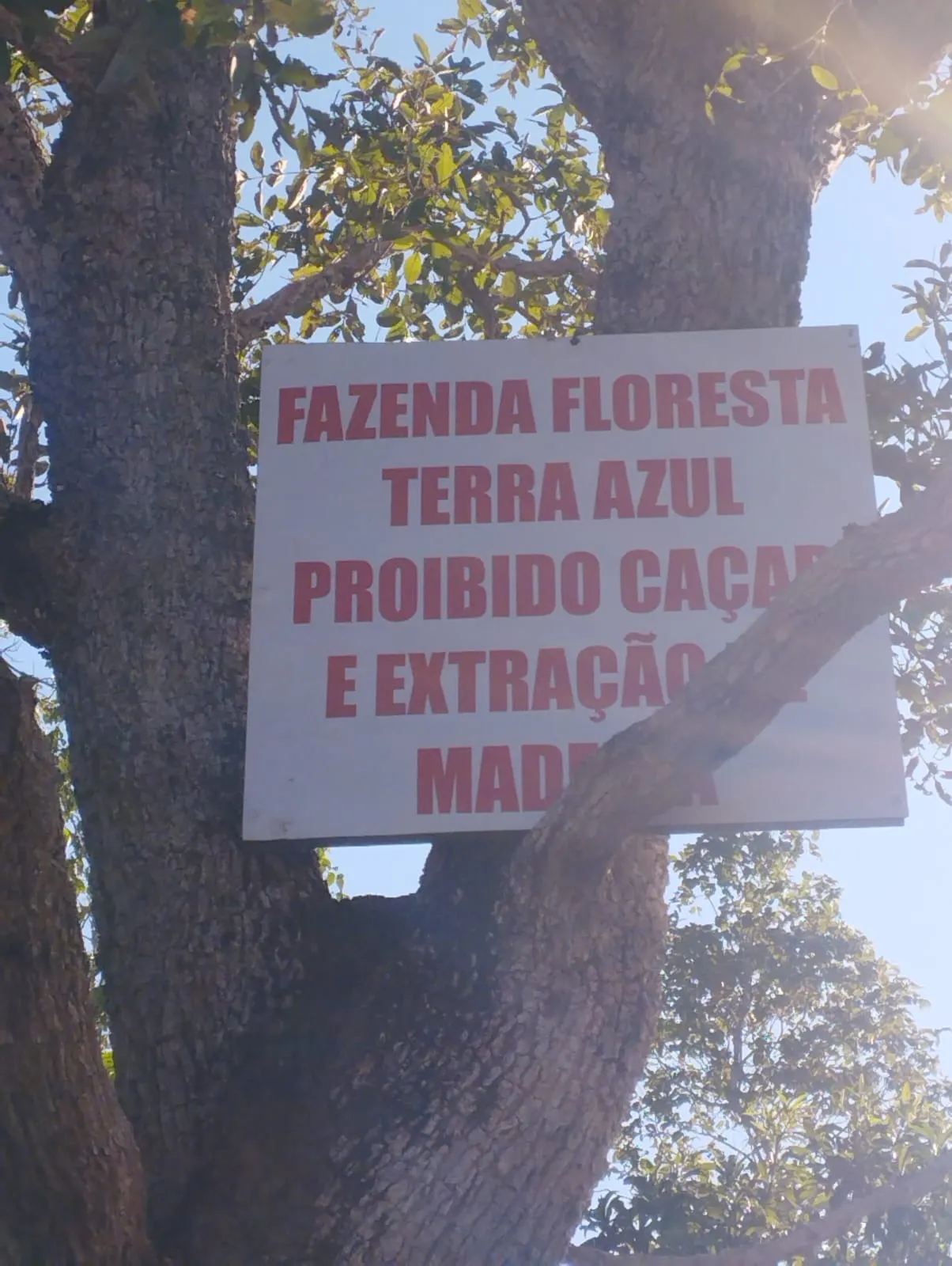 Fazenda à venda e para Arrendar de 1.046 ha em Fernando Falcão, MA, Brasil