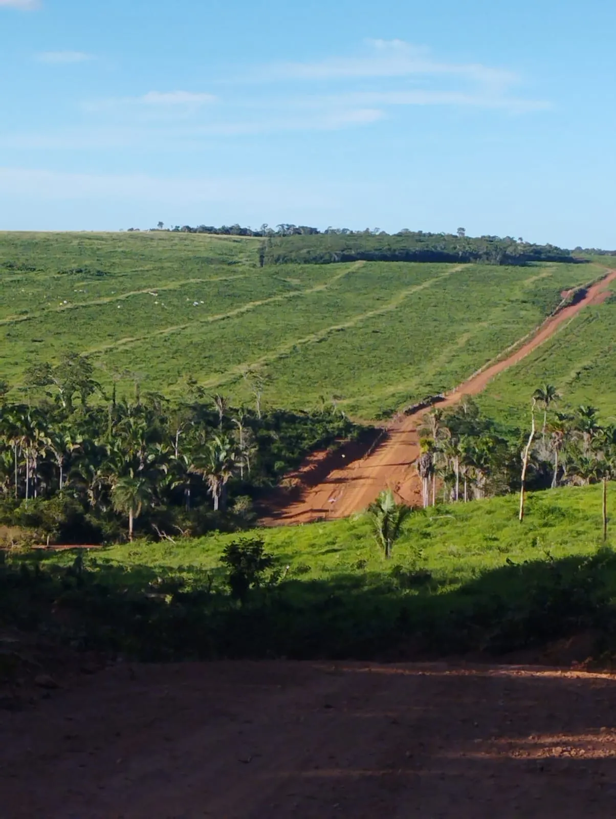 Fazenda à venda e para Arrendar de 1.046 ha em Fernando Falcão, MA, Brasil