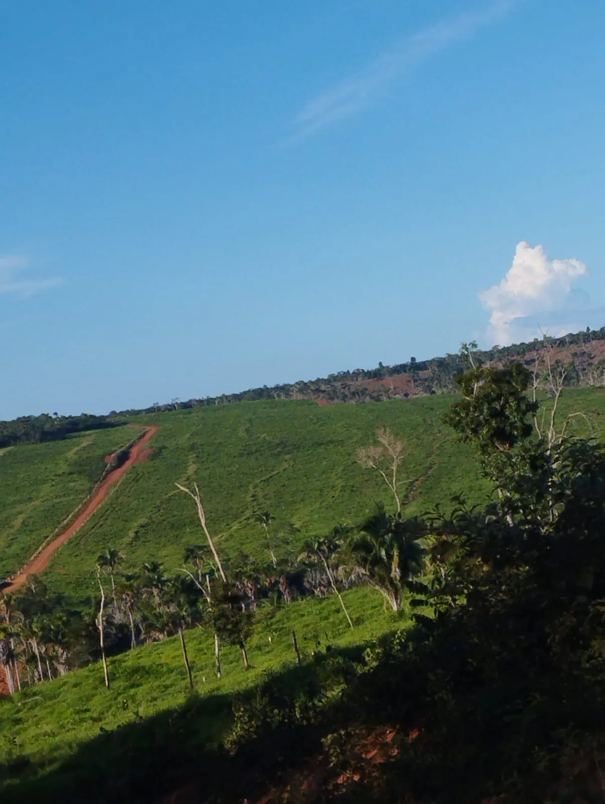 Fazenda à venda e para Arrendar de 1.046 ha em Fernando Falcão, MA, Brasil