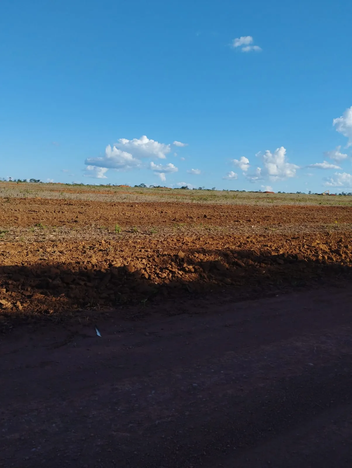 Fazenda à venda e para Arrendar de 1.046 ha em Fernando Falcão, MA, Brasil