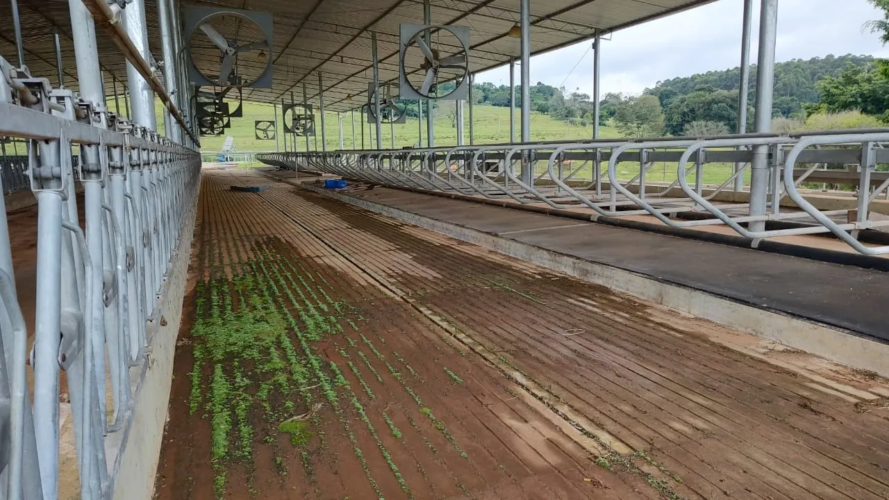 Fazenda à venda de 123 ha em Angatuba, SP, Brasil