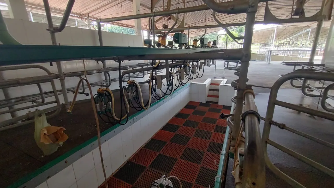 Fazenda à venda de 123 ha em Angatuba, SP, Brasil