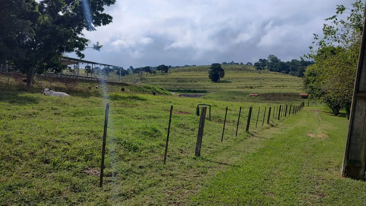 Fazenda à venda de 123 ha em Angatuba, SP, Brasil