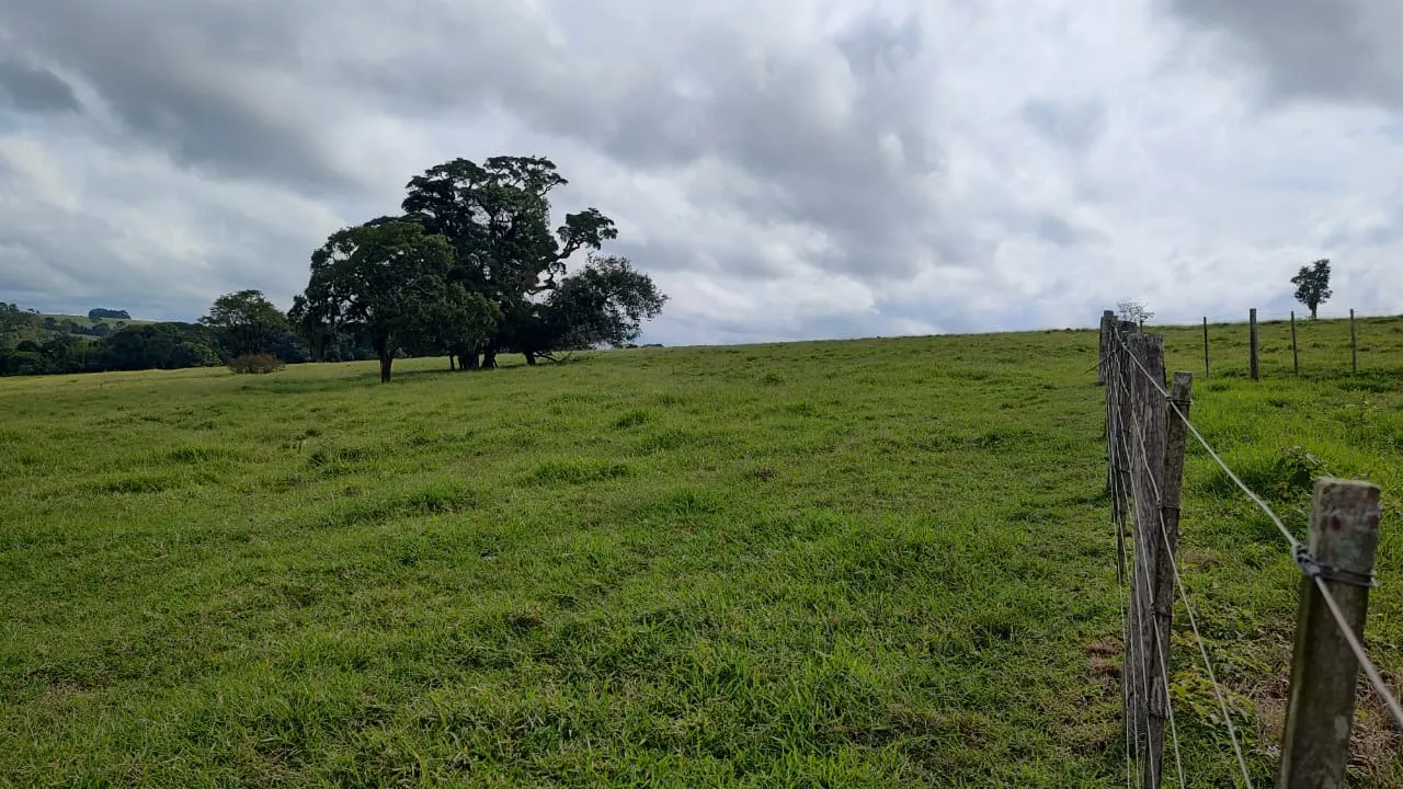 Fazenda à venda de 123 ha em Angatuba, SP, Brasil