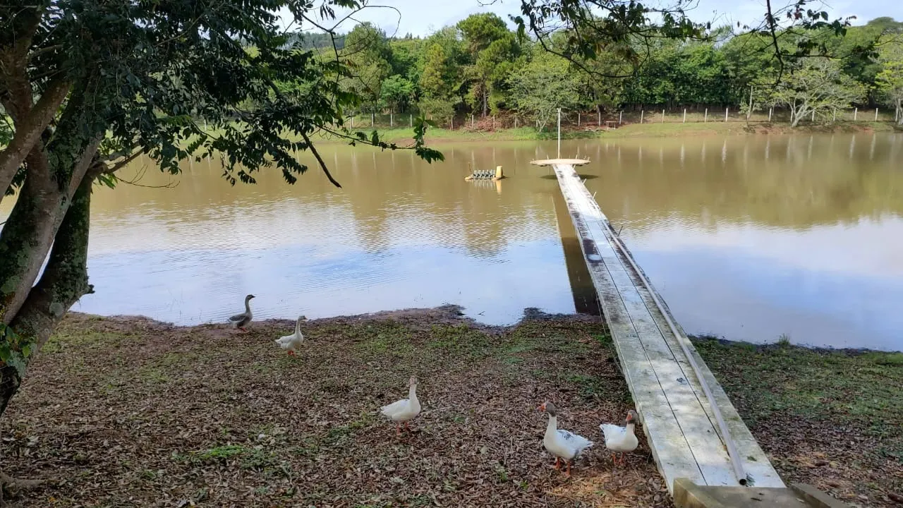 Fazenda à venda de 123 ha em Angatuba, SP, Brasil