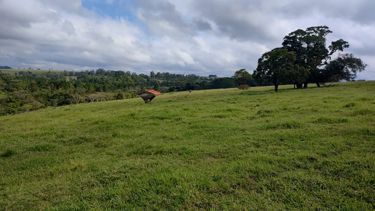 Fazenda à venda de 123 ha em Angatuba, SP, Brasil