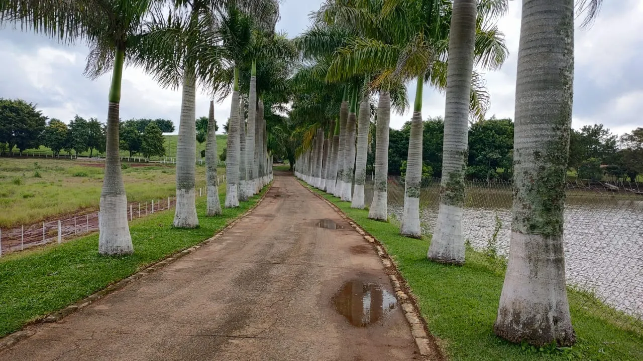 Fazenda à venda de 123 ha em Angatuba, SP, Brasil