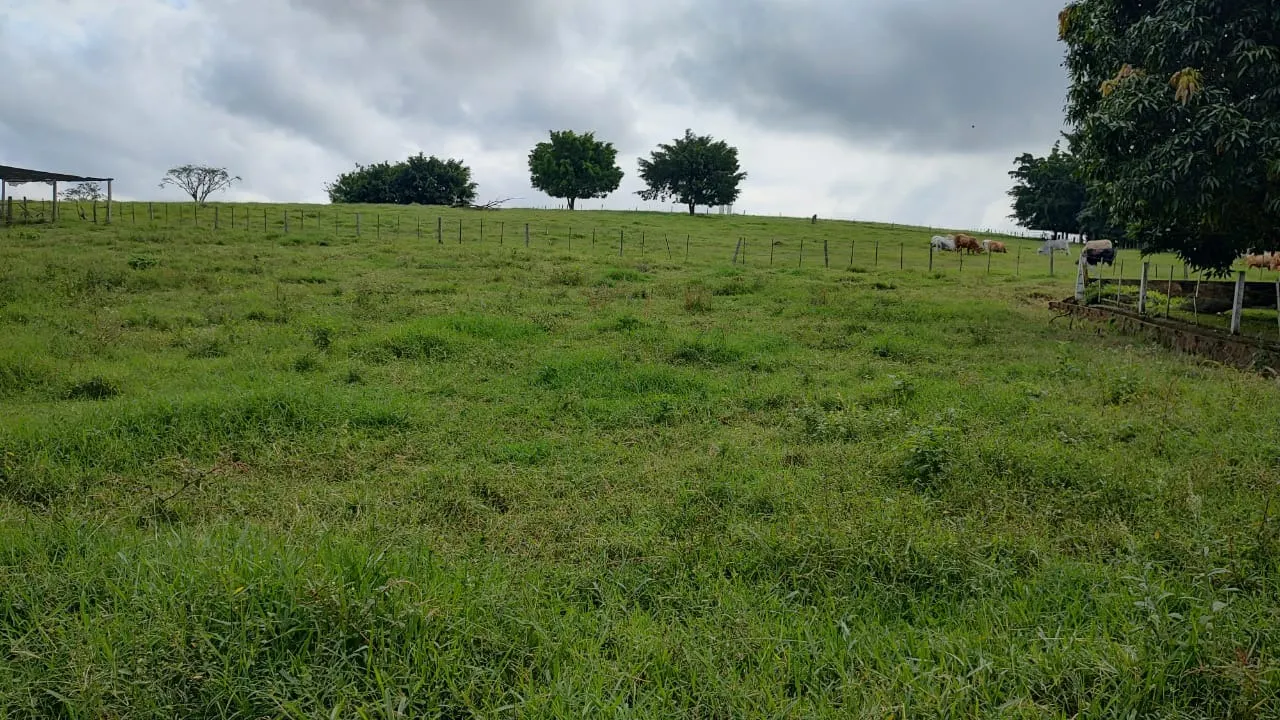 Fazenda à venda de 123 ha em Angatuba, SP, Brasil