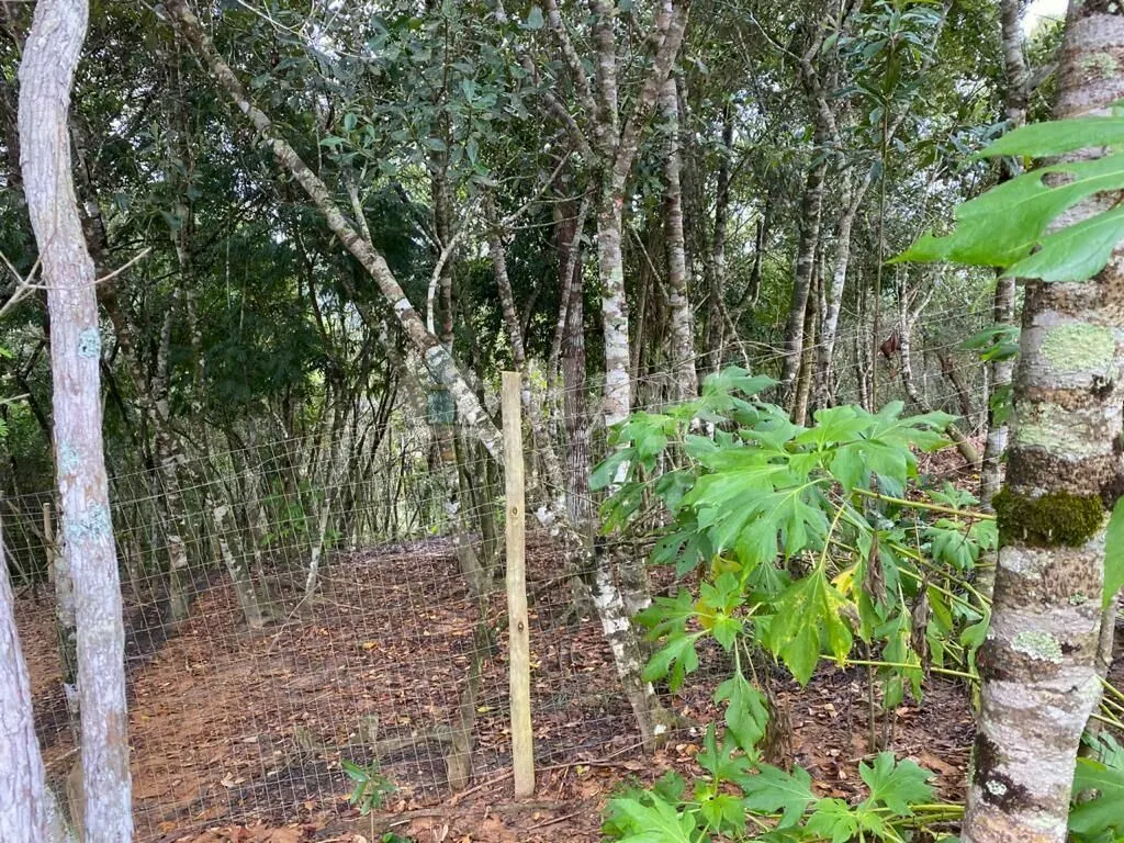 Chácara à venda de 3.600 m² em Nova Trento, SC, Brasil