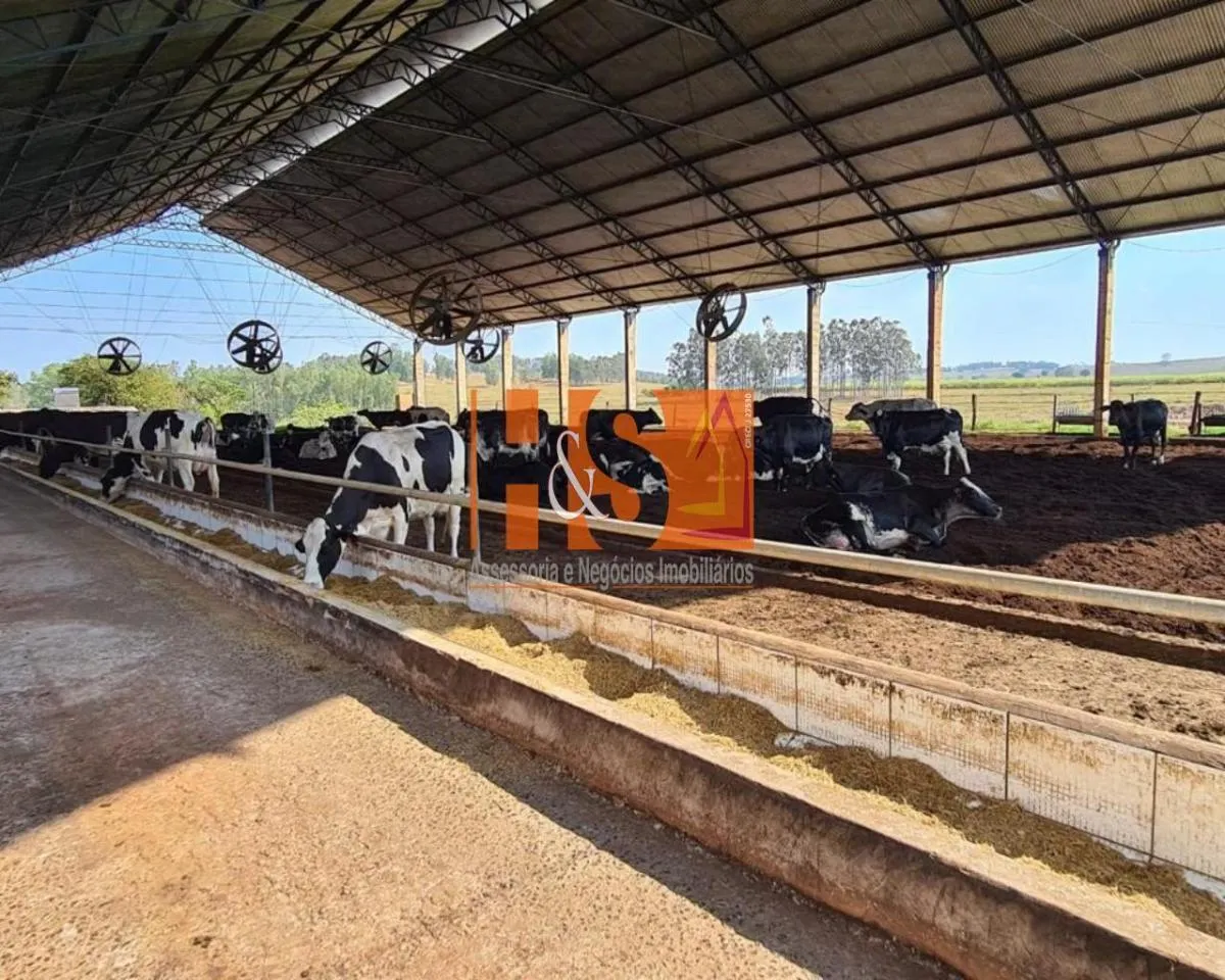 Farm for sale of 191,358 acres in Emilianópolis, SP, Brazil