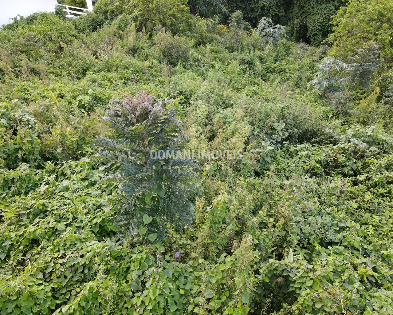 Plot for sale of 700 m² in Campos do Jordão, SP, Brazil