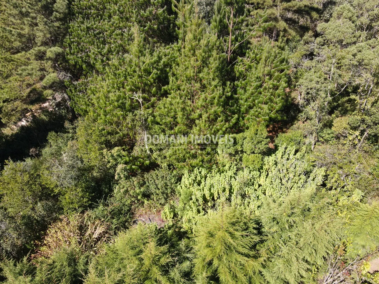 Terreno à venda de 1.090 m² em Campos do Jordão, SP, Brasil