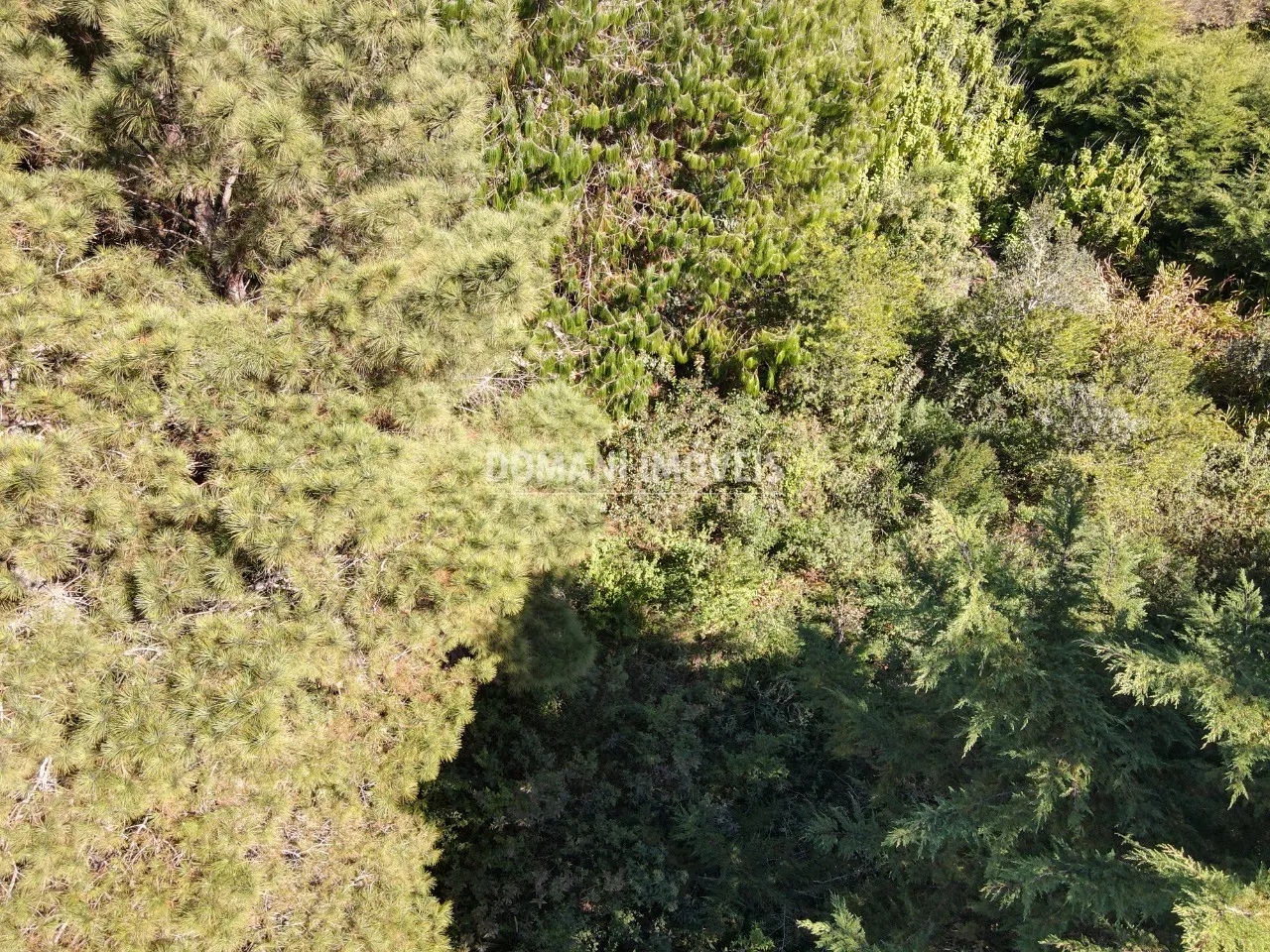 Terreno à venda de 1.090 m² em Campos do Jordão, SP, Brasil