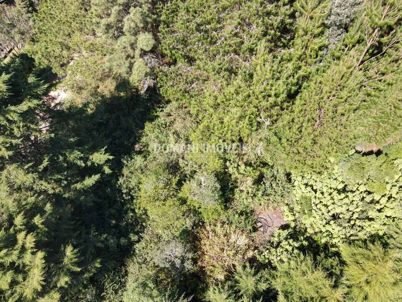 Terreno à venda de 1.090 m² em Campos do Jordão, SP, Brasil