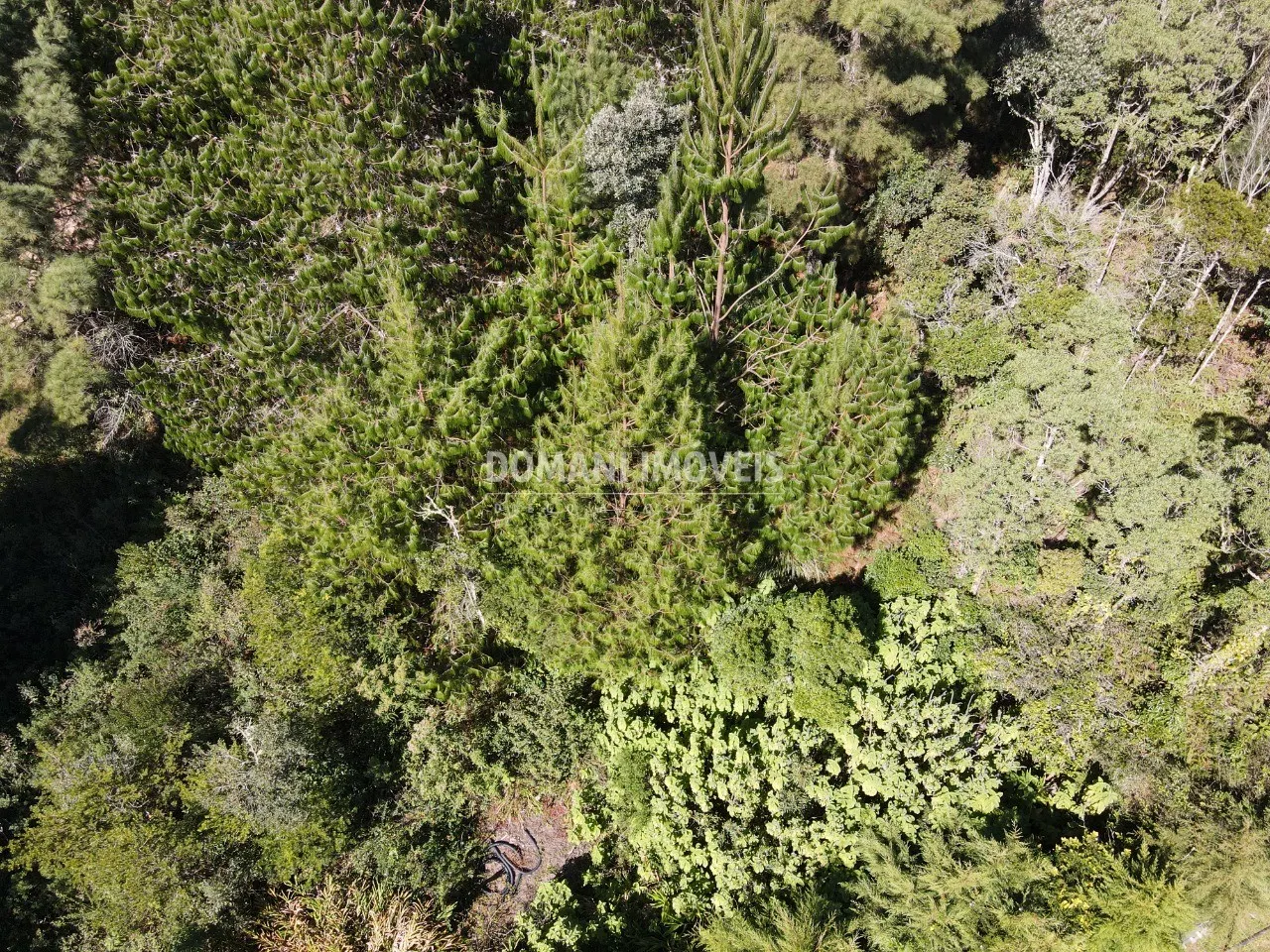 Terreno à venda de 1.090 m² em Campos do Jordão, SP, Brasil