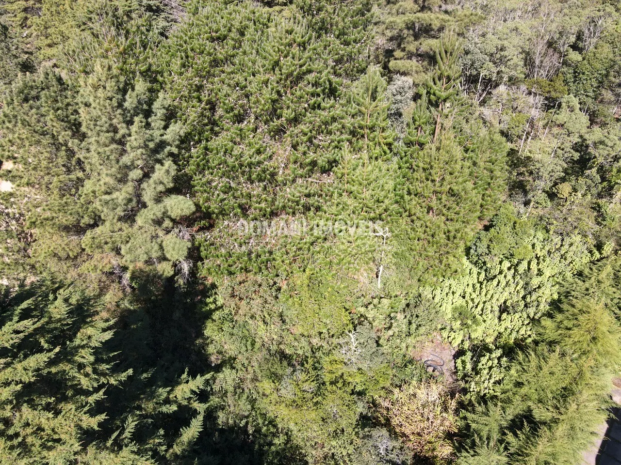 Terreno à venda de 1.090 m² em Campos do Jordão, SP, Brasil