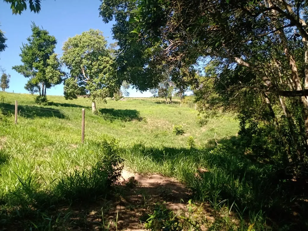 Chácara à venda de 5 ha em Itapetininga, SP, Brasil