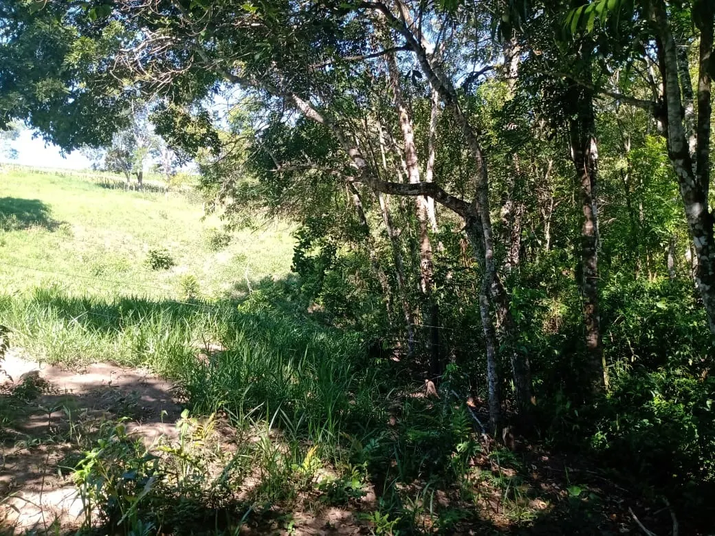 Chácara à venda de 5 ha em Itapetininga, SP, Brasil
