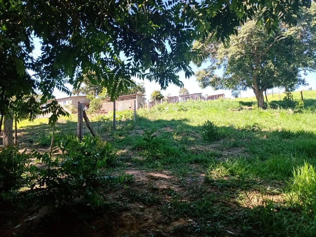 Chácara à venda de 5 ha em Itapetininga, SP, Brasil