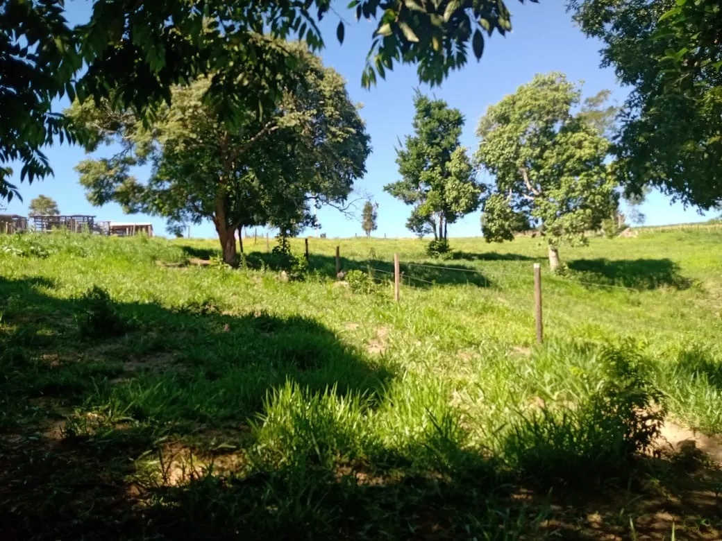Chácara à venda de 5 ha em Itapetininga, SP, Brasil