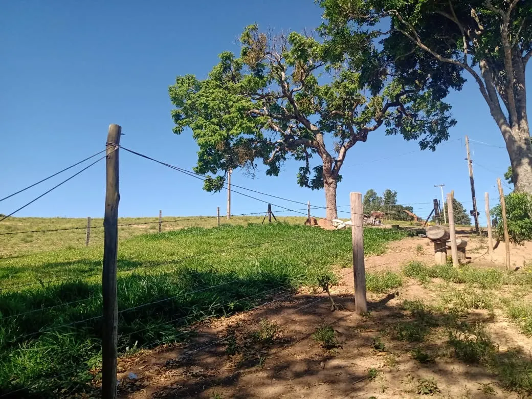 Chácara à venda de 5 ha em Itapetininga, SP, Brasil