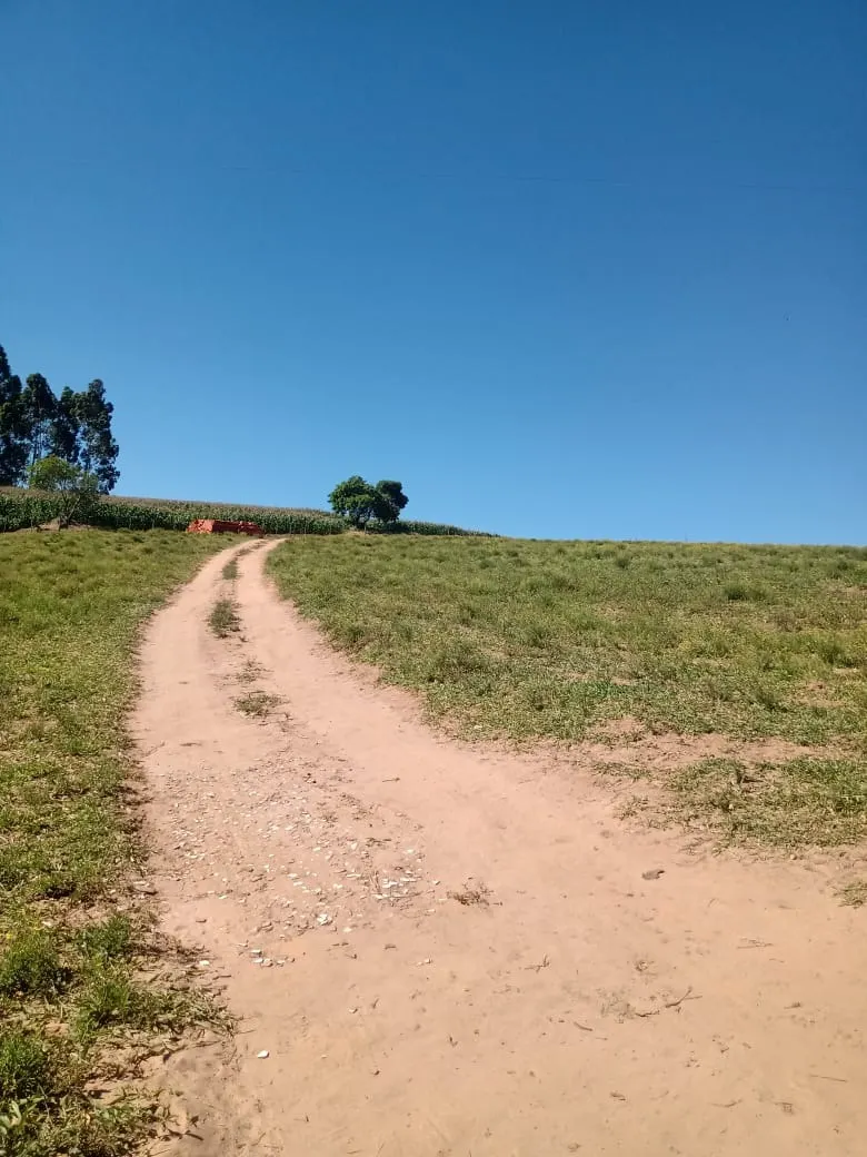 Chácara à venda de 5 ha em Itapetininga, SP, Brasil