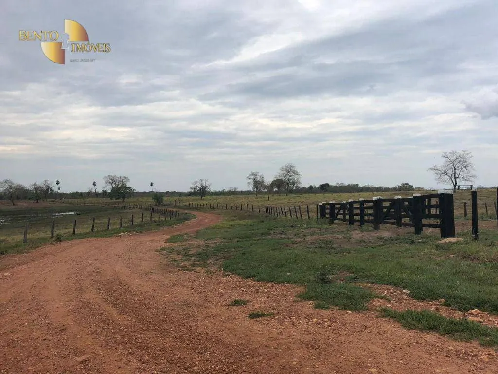 Farm for sale of 811 acres in Poconé, MT, Brazil