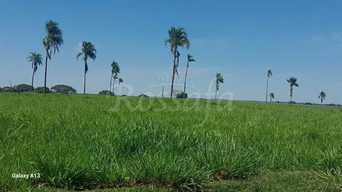 Sítio à venda de 4 ha em Santana da Ponte Pensa, SP, Brasil