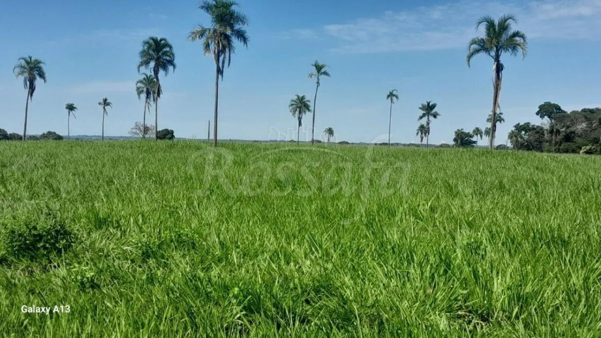 Sítio à venda de 4 ha em Santana da Ponte Pensa, SP, Brasil