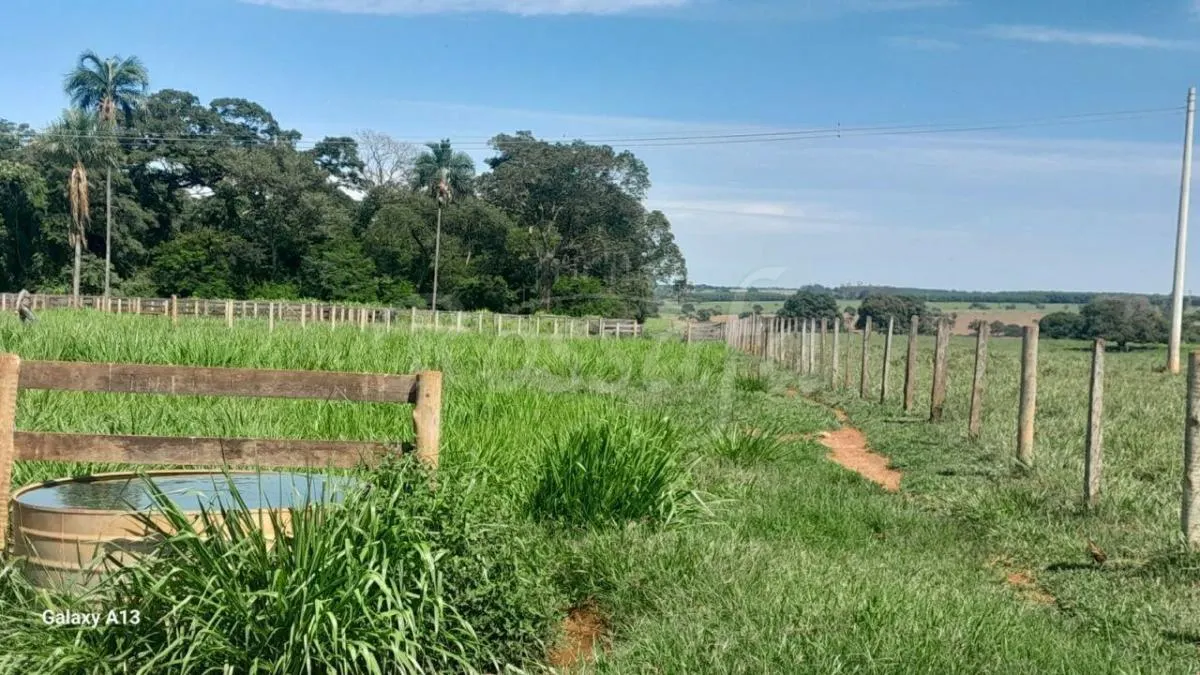 Sítio à venda de 4 ha em Santana da Ponte Pensa, SP, Brasil