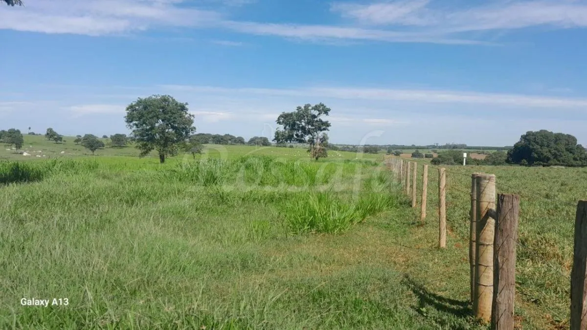 Sítio à venda de 4 ha em Santana da Ponte Pensa, SP, Brasil