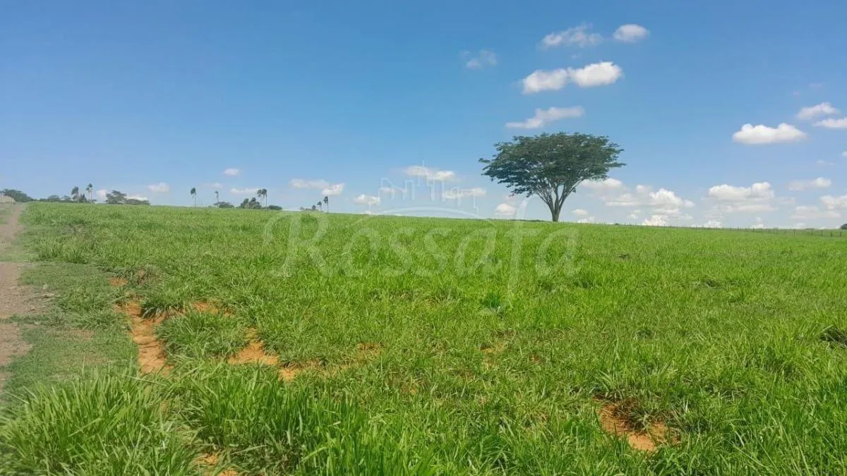 Sítio à venda de 4 ha em Santana da Ponte Pensa, SP, Brasil