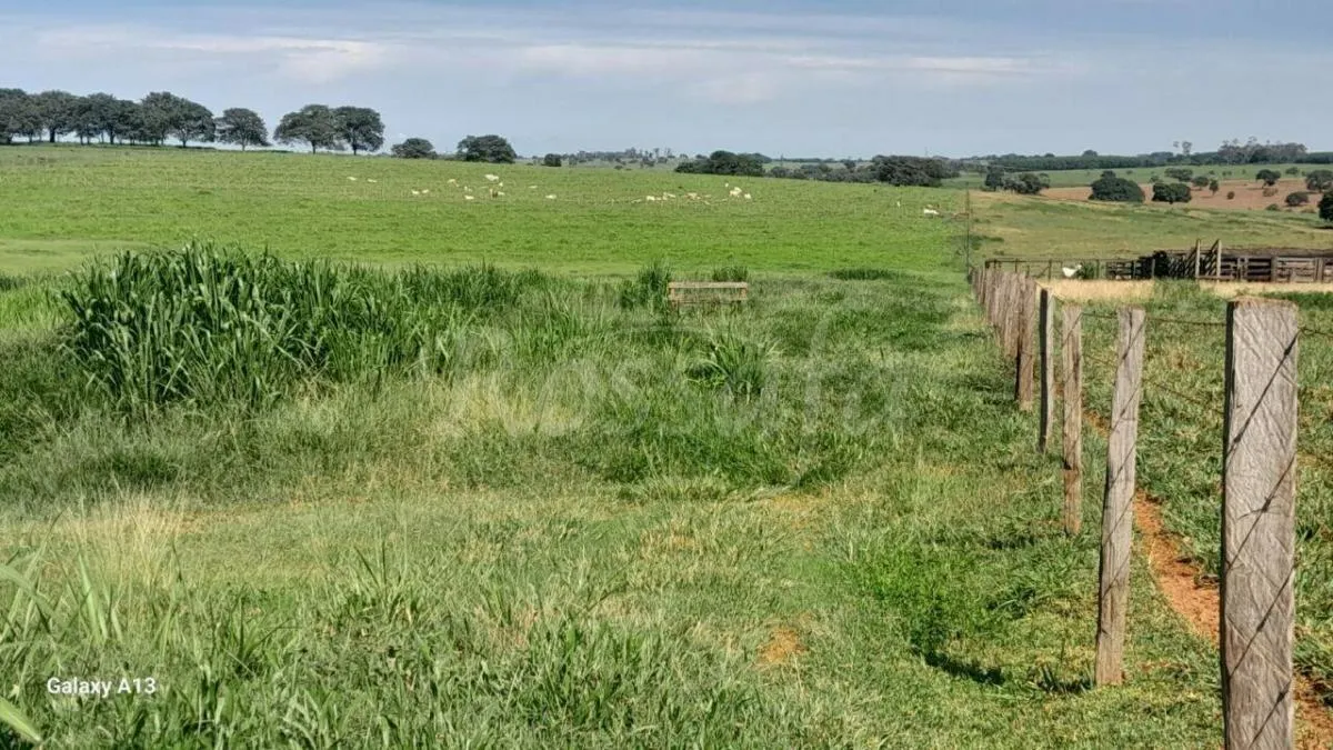 Sítio à venda de 4 ha em Santana da Ponte Pensa, SP, Brasil