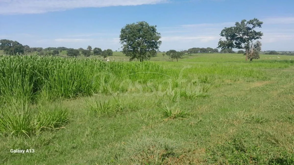 Sítio à venda de 4 ha em Santana da Ponte Pensa, SP, Brasil