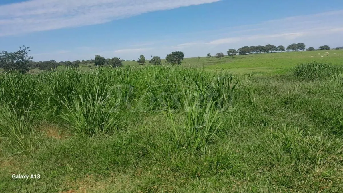 Sítio à venda de 4 ha em Santana da Ponte Pensa, SP, Brasil