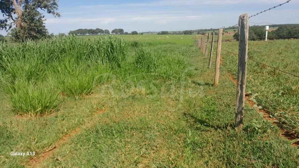 Sítio à venda de 4 ha em Santana da Ponte Pensa, SP, Brasil